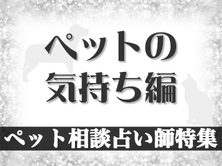 ペットの気持ち専門占い師特集2023年度版