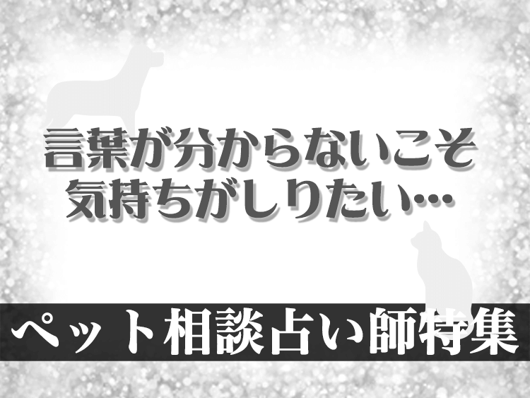 占い師特集ペットの気持ち編