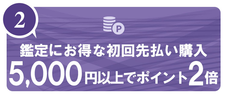 特典2 鑑定にお得な初回先払い購入5,000円以上でポイント2倍