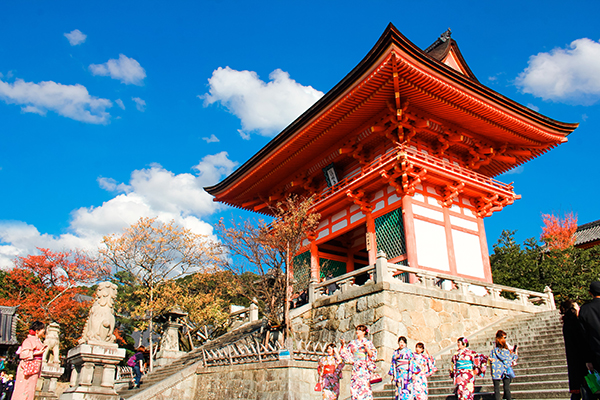 神社 パワースポット